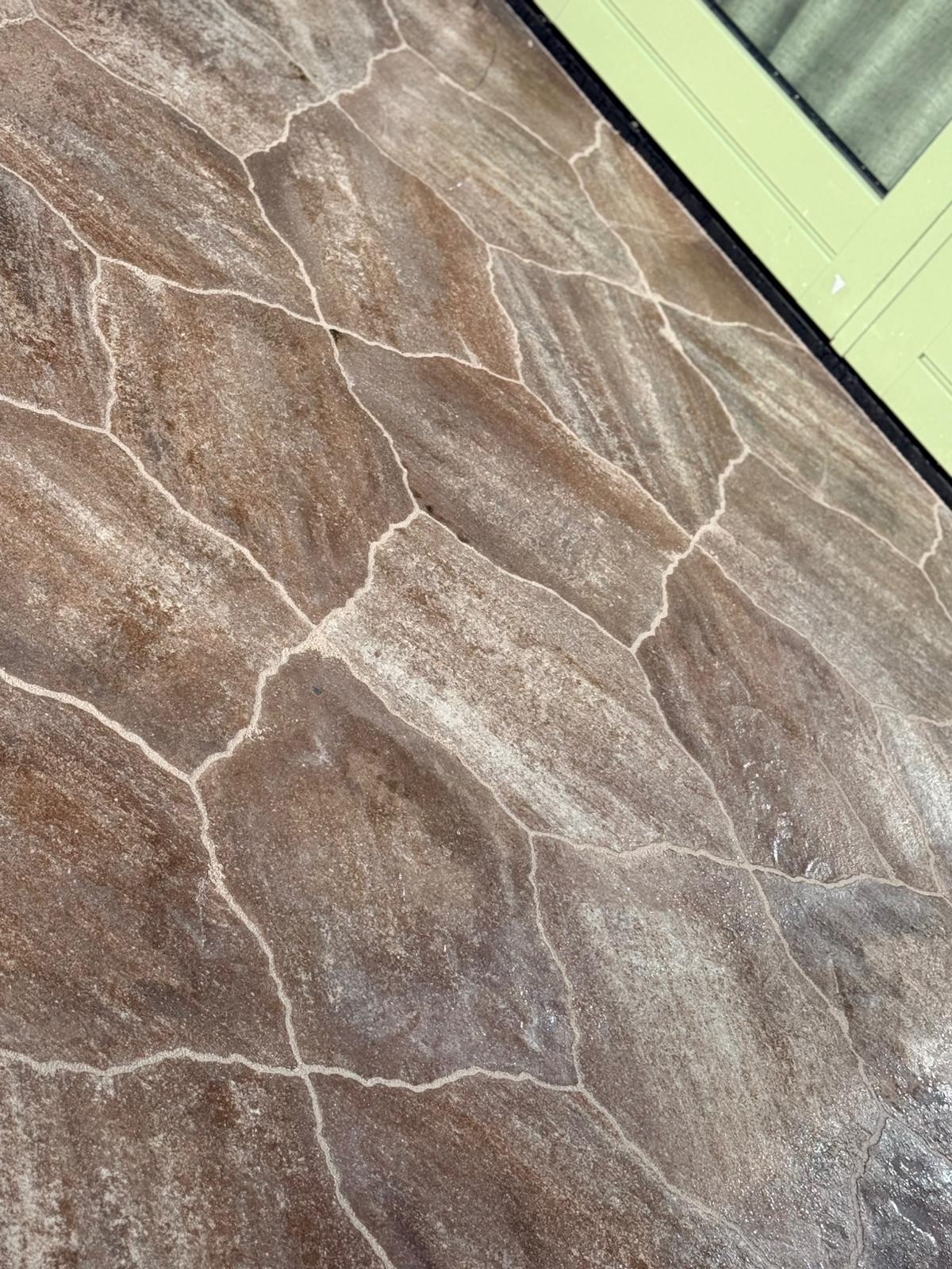 WhatsApp Image 2026-03-20 at 10.47.56